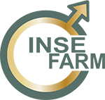 Inseminacja loch | nasienie knurów